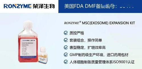 榮澤集團 市場調查成就斐然，穩健前行再譜新篇